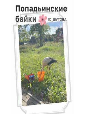 cover image of Попадьинские байки